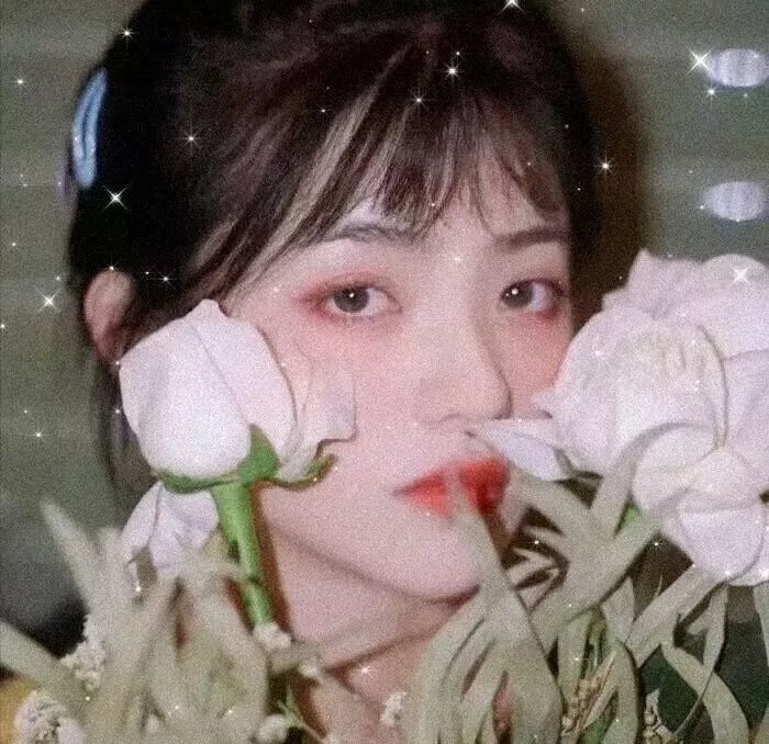 家有婆媳